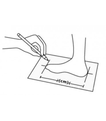 RISPORT MERCURIO+ROLL-LINE MISTRAL+GIOTTO