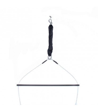 HARNAIS BIELLMANN TRAPEZE