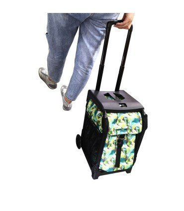 BIELLMANN TROLLEY SUITCASE WITH TWO WHEELS RESISTANT UP TO 125 KG -