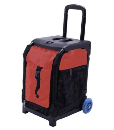 BIELLMANN TROLLEY SUITCASE WITH TWO WHEELS RESISTANT UP TO 125 KG -