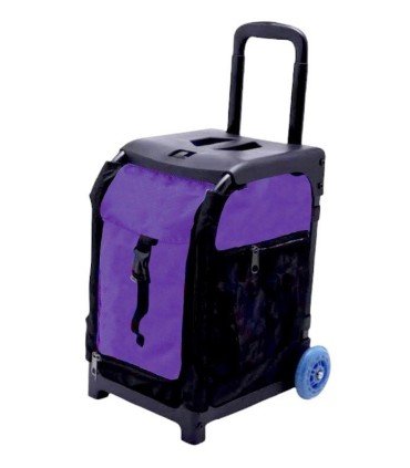 BIELLMANN TROLLEY SUITCASE WITH TWO WHEELS RESISTANT UP TO 125 KG -