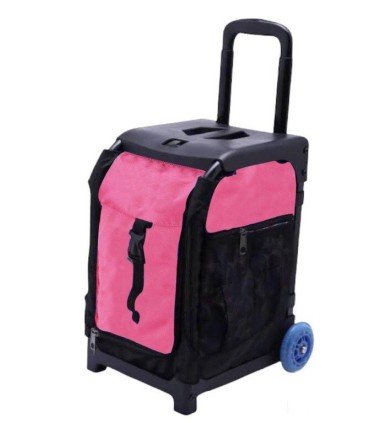 BIELLMANN TROLLEY SUITCASE WITH TWO WHEELS RESISTANT UP TO 125 KG -