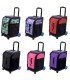 BIELLMANN TROLLEY SUITCASE WITH TWO WHEELS RESISTANT UP TO 125 KG -